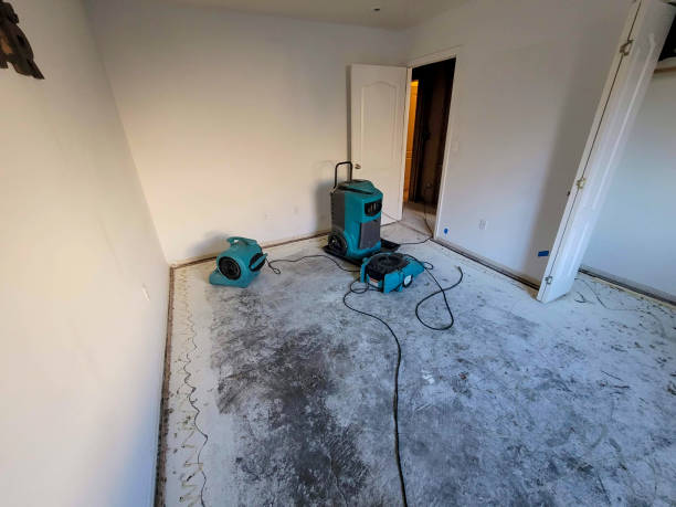 Best Water damage contractors near me  in Squirrel Mountain Valley, CA