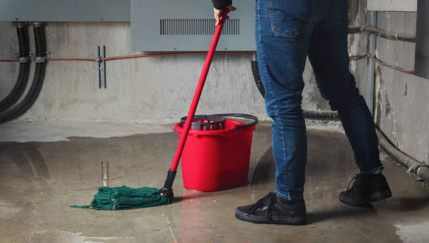  Squirrel Mountain Valley, CA Water damage restoration Pros