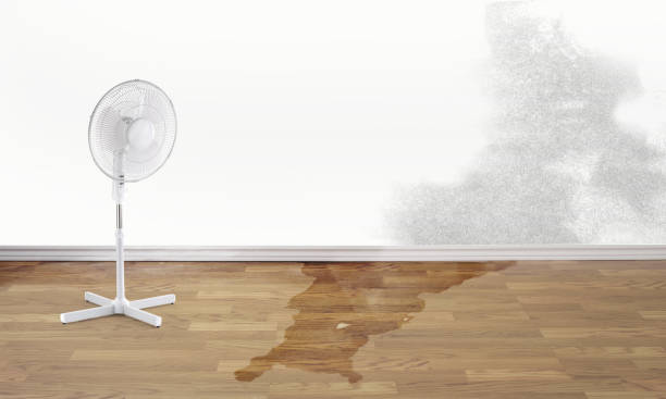 Best Commercial water damage restoration  in Squirrel Mountain Valley, CA