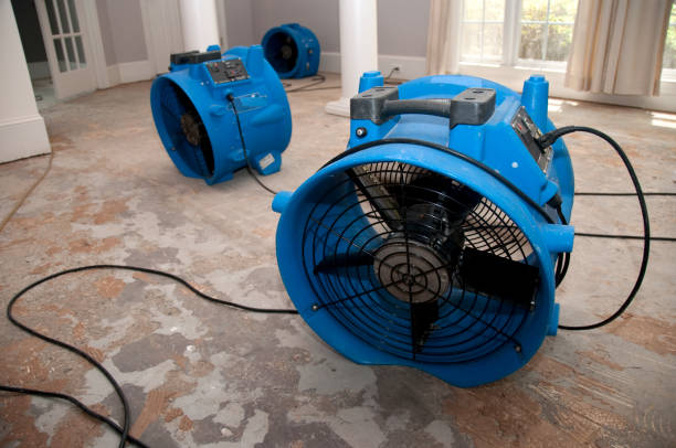 Best Ceiling water damage repair  in Squirrel Mountain Valley, CA