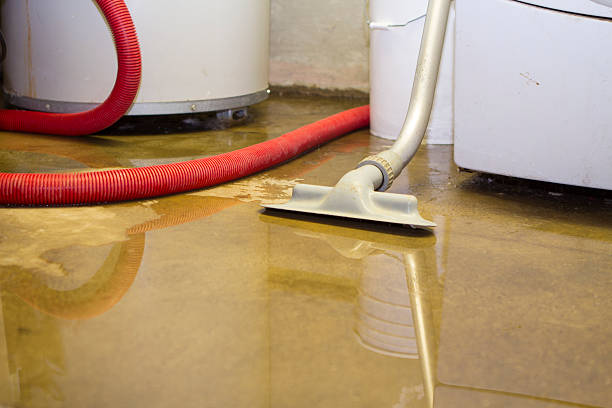 Best Water damage cleanup near me  in Squirrel Mountain Valley, CA