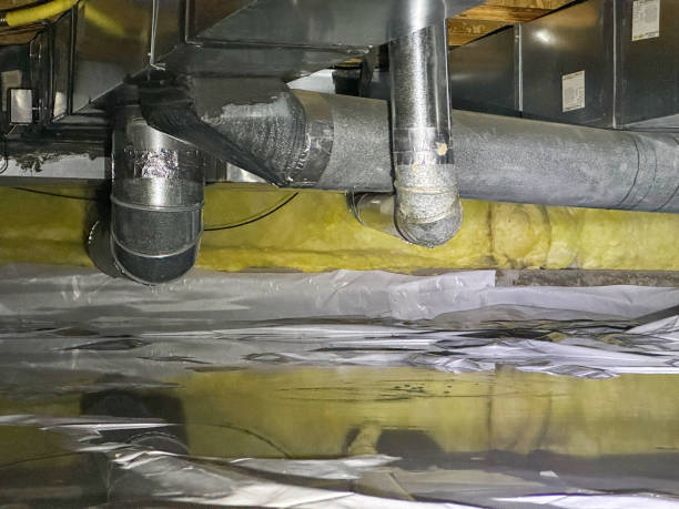 Best Flood damage cleanup  in Squirrel Mountain Valley, CA
