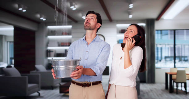 Best Local water damage restoration  in Squirrel Mountain Valley, CA
